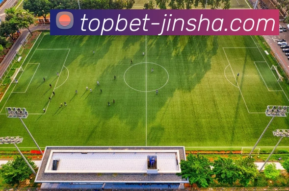 金沙国际平台生态图